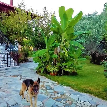 Cottage House,With Big Garden & Lawn Amaliada Exterior photo