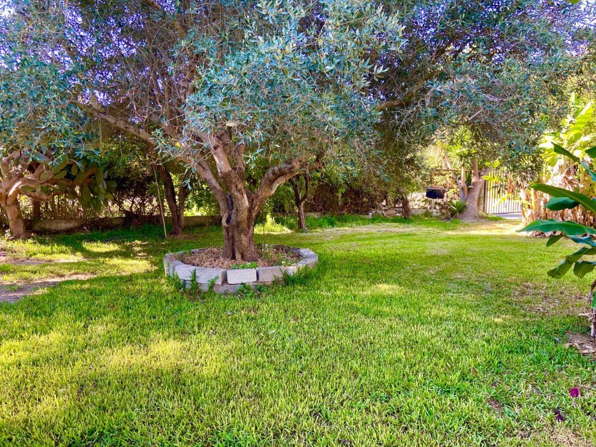Cottage House,With Big Garden & Lawn Amaliada Exterior photo